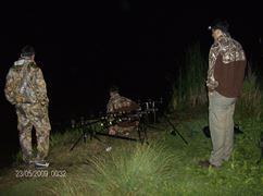 hobaia 2009